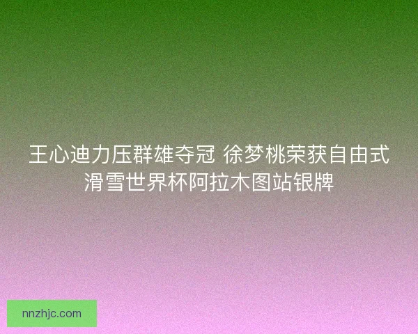 王心迪力压群雄夺冠 徐梦桃荣获自由式滑雪世界杯阿拉木图站银牌 王心迪力压群雄夺冠 徐梦桃荣获自由式滑雪世界杯阿拉木图站银牌